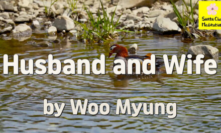 Master Woo Myung – Quote to Awaken – Husband and Wife | Santa Clara Meditation