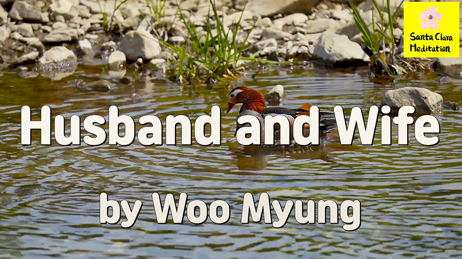 Master Woo Myung – Quote to Awaken – Husband and Wife