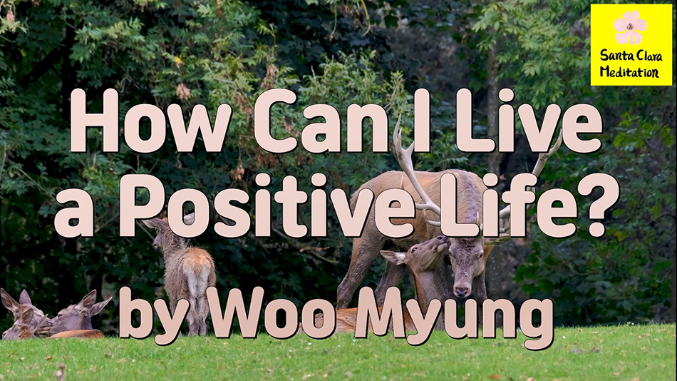 Master Woo Myung – How to Be Positive – How Can I Live a Positive Life?