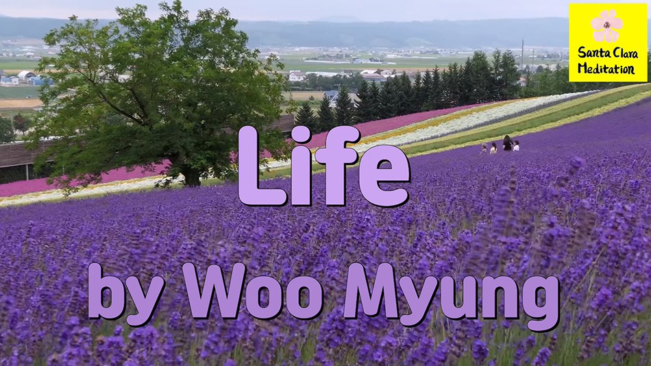 Master Woo Myung – Book – Mind – Life