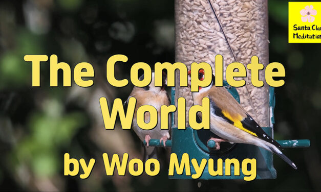 Master Woo Myung – Meditation Teaching – The Complete World