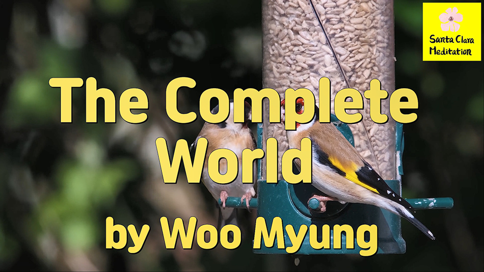 Master Woo Myung – Meditation Teaching – The Complete World