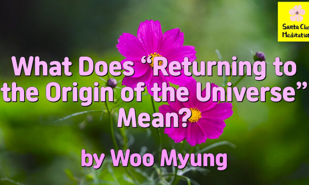 Master Woo Myung – Question & Answer – What Does “Returning to the Origin of the Universe” Mean?