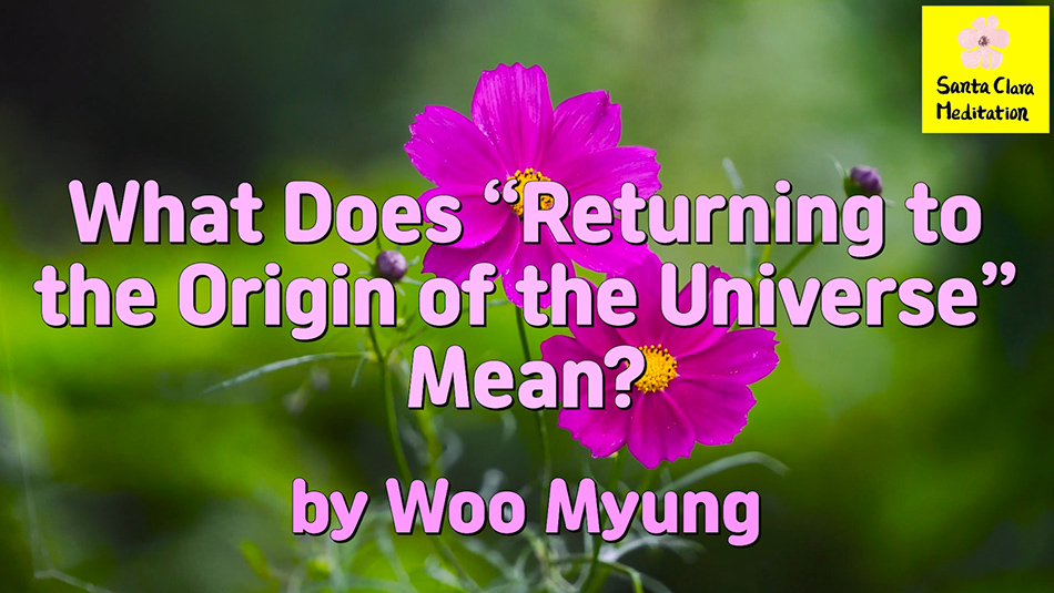 Master Woo Myung – Question & Answer – What Does “Returning to the Origin of the Universe” Mean?