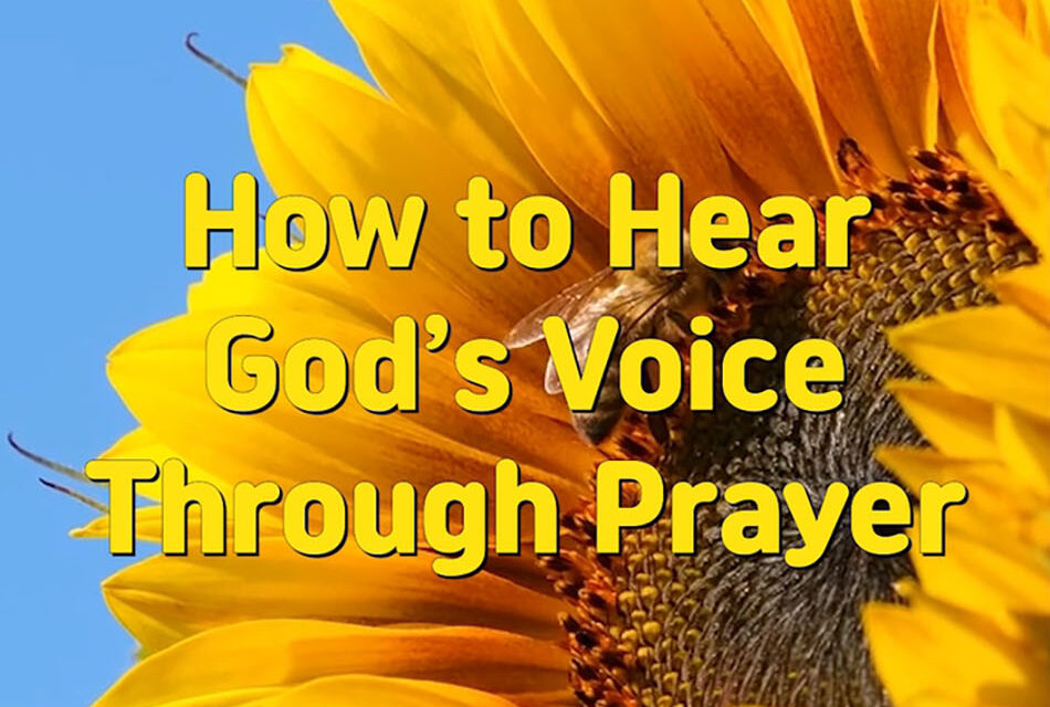 Master Woo Myung – Truth Quote – How to Hear God’s Voice Through Prayer