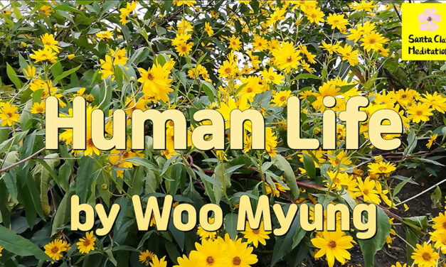 Master Woo Myung – Words of Enlightenment – Human Life | Santa Clara Meditation