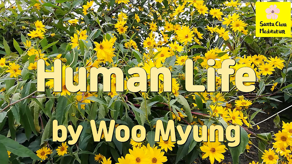 Master Woo Myung – Words of Enlightenment – Human Life | Santa Clara Meditation
