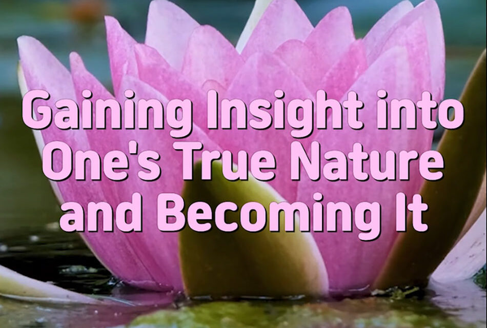 Master Woo Myung – Method to Become Truth – Gaining Insight into One’s True Nature and Becoming It