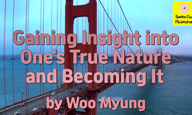 Master Woo Myung – How to Become Truth – Gaining Insight into One’s True Nature and Becoming It