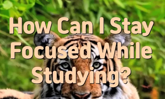 Master Woo Myung – Daily Life Advice – How Can I Stay Focused While Studying?