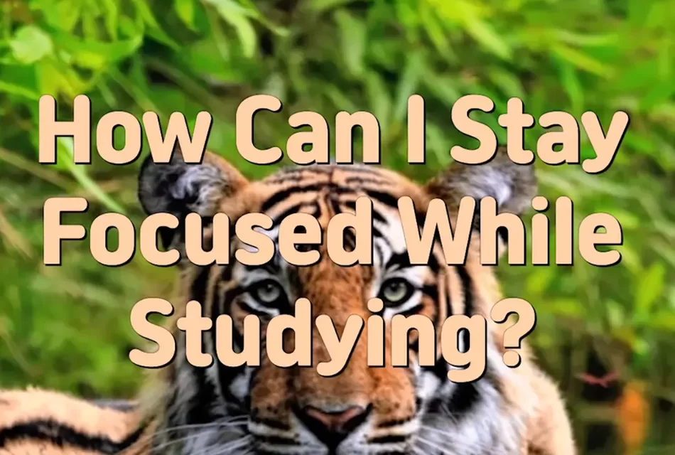 Master Woo Myung – Daily Life Advice – How Can I Stay Focused While Studying?