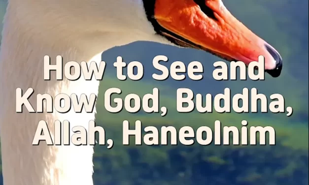 Master Woo Myung – How to Find Allah – How to See and Know God, Buddha, Allah, Haneolnim