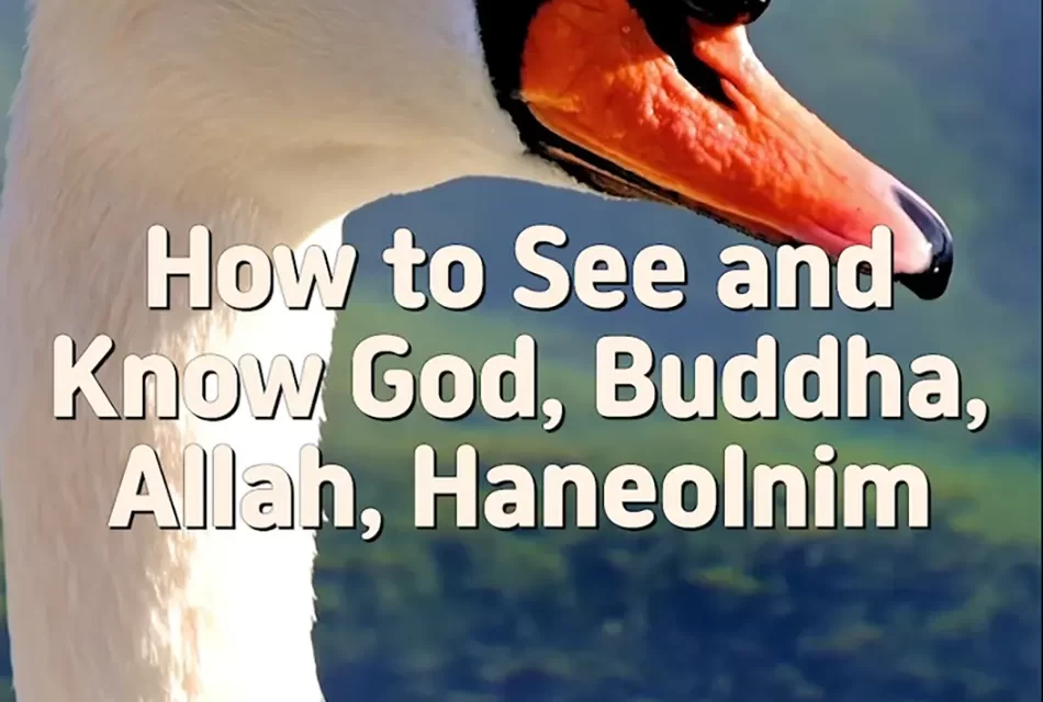 Master Woo Myung – How to Find Allah – How to See and Know God, Buddha, Allah, Haneolnim