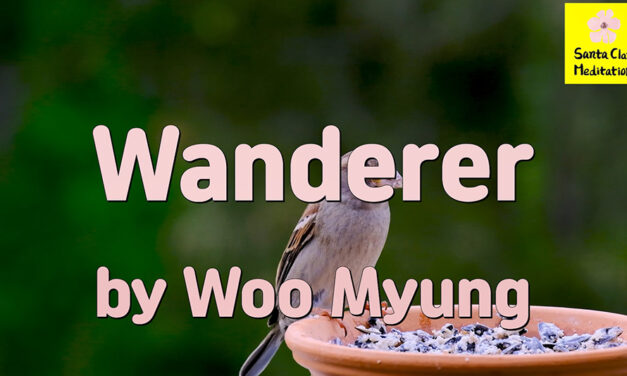 Master Woo Myung – Quote for Enlightenment – Wanderer | Santa Clara Meditation