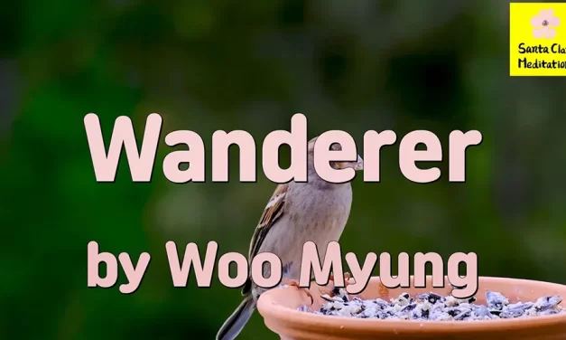 Master Woo Myung – Quote for Enlightenment – Wanderer