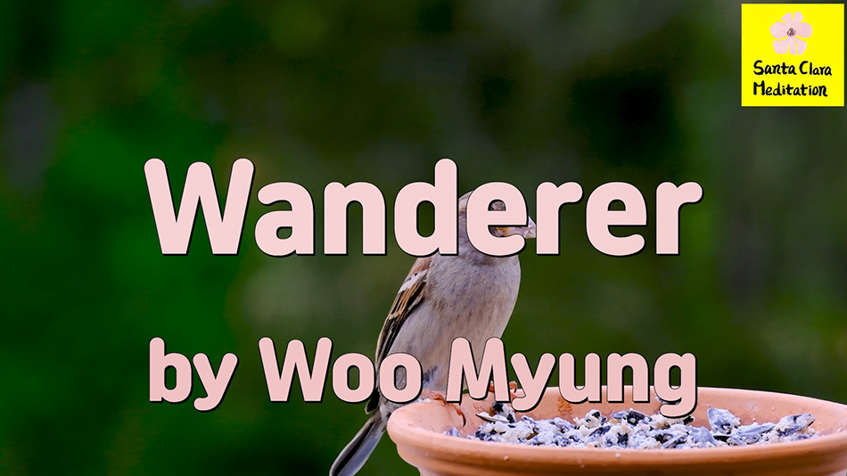 Master Woo Myung – Quote for Enlightenment – Wanderer