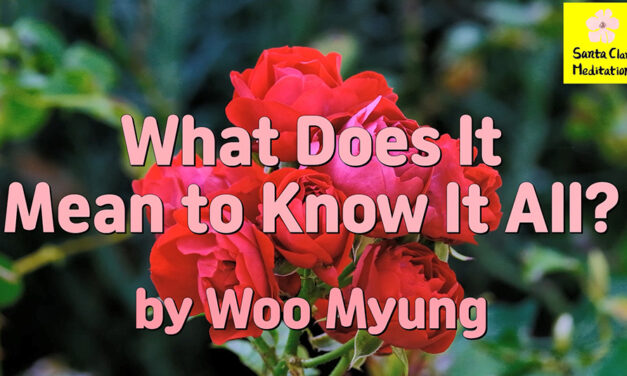 Master Woo Myung – Method for Finding Wisdom – What Does It Mean to Know It All?