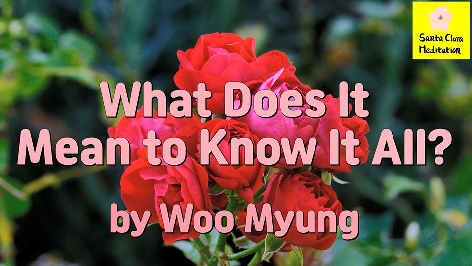 Master Woo Myung – Method for Finding Wisdom – What Does It Mean to Know It All?