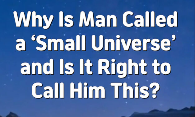 Master Woo Myung – Q&A – Why Is Man Called a ‘Small Universe’ and Is It Right to Call Him This?