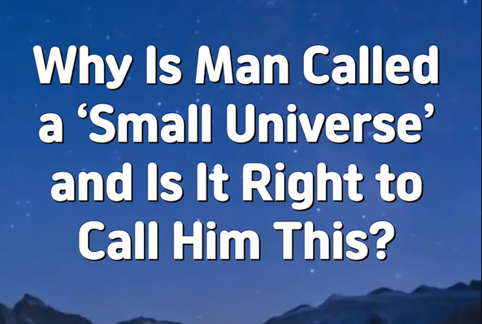 Master Woo Myung – Q&A – Why Is Man Called a ‘Small Universe’ and Is It Right to Call Him This?