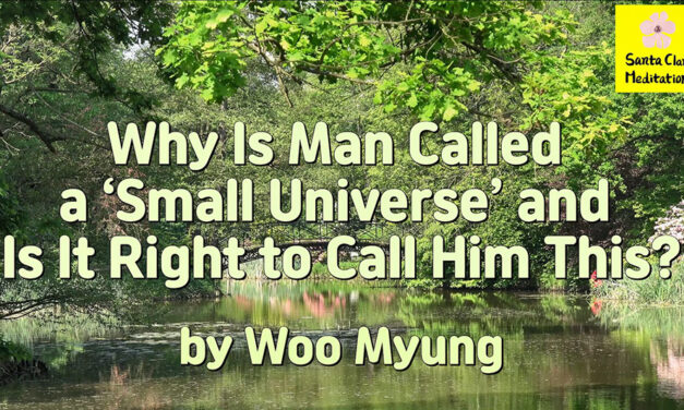 Master Woo Myung – Book – The Book of Wisdom – Why Is Man Called a ‘Small Universe’ and Is It Right to Call Him This?