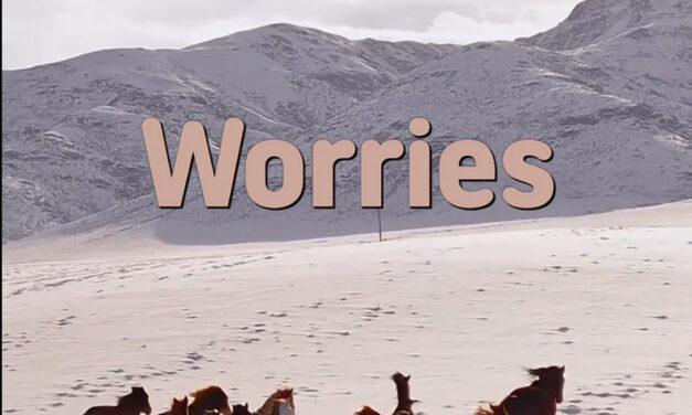 Master Woo Myung – Wisdom Verses – Worries