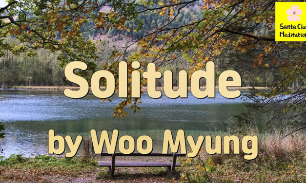 Master Woo Myung – Book – Nature’s Flow – Solitude