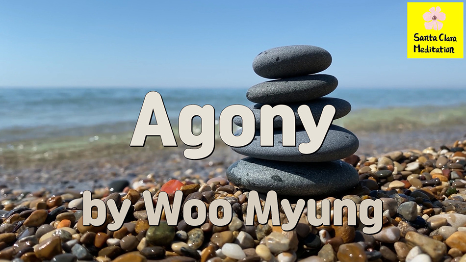 Master Woo Myung – Quote for Enlightenment – Agony | Santa Clara Meditation