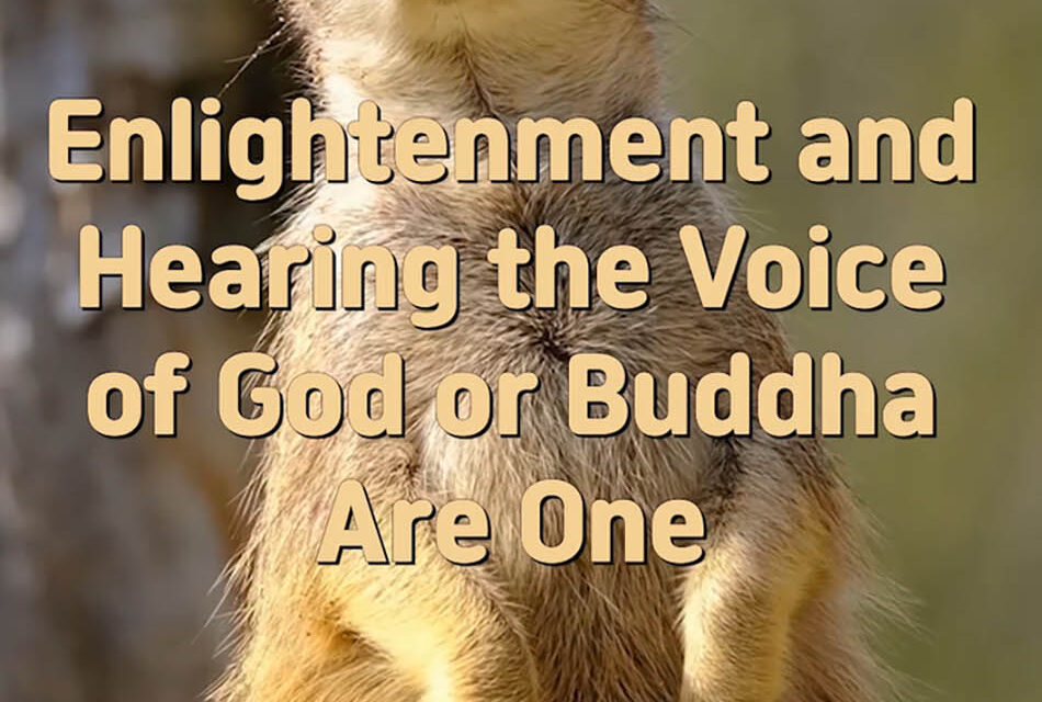 Master Woo Myung – Truth Quote – Enlightenment and Hearing the Voice of God or Buddha Are One