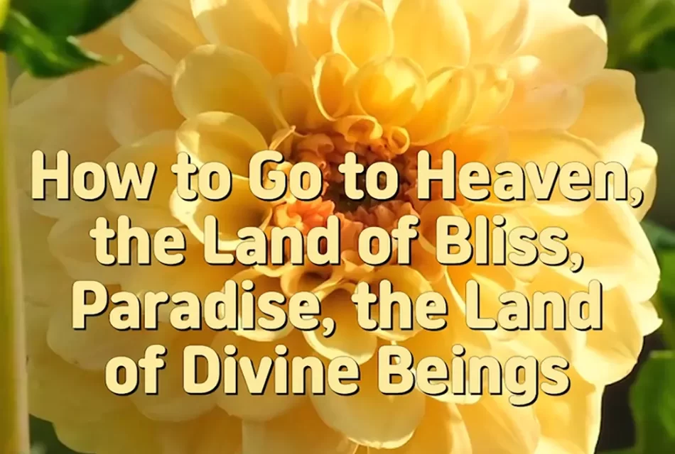 Master Woo Myung – How to Live in Land of Bliss – How to Go to Heaven, the Land of Bliss, Paradise, the Land of Divine Beings