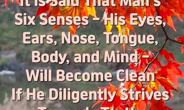 Master Woo Myung – How to Find Buddha – In the Lotus Sutras, It Is Said That Man’s Six Senses – His Eyes, Ears, Nose, Tongue, Body, and Mind – Will Become Clean If He Diligently Strives Towards Truth. What Does This Mean?