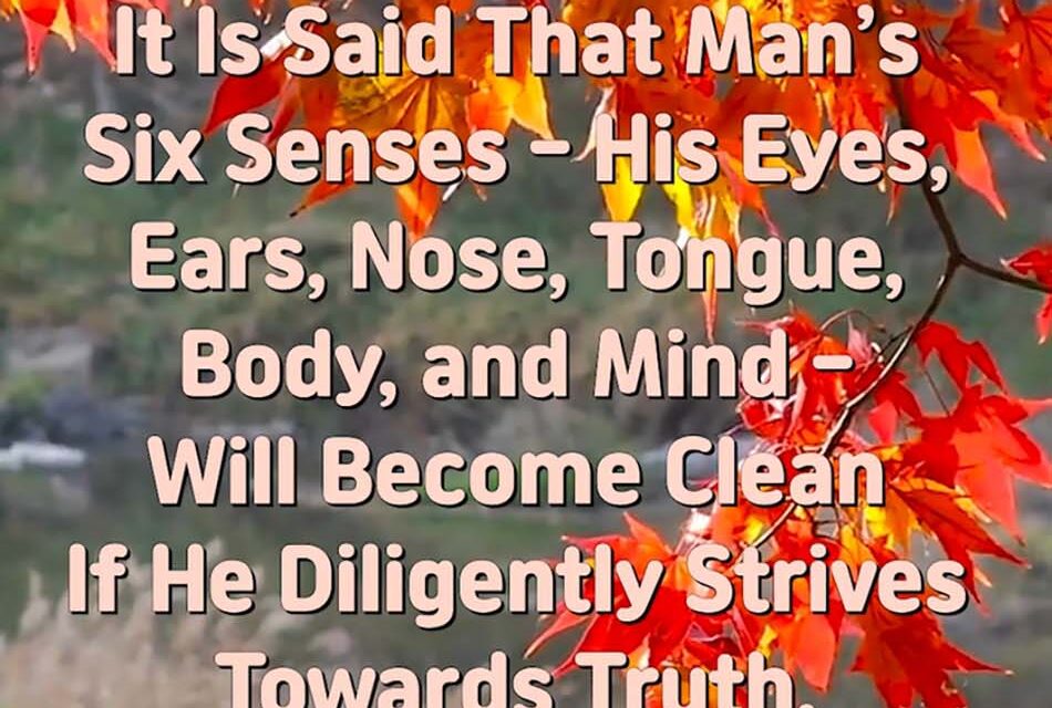 Master Woo Myung – How to Find Buddha – In the Lotus Sutras, It Is Said That Man’s Six Senses – His Eyes, Ears, Nose, Tongue, Body, and Mind – Will Become Clean If He Diligently Strives Towards Truth. What Does This Mean?