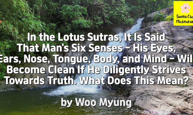 Master Woo Myung – How to Clean Mind – In the Lotus Sutras, It Is Said That Man’s Six Senses – His Eyes, Ears, Nose, Tongue, Body, and Mind – Will Become Clean If He Diligently Strives Towards Truth. What Does This Mean?