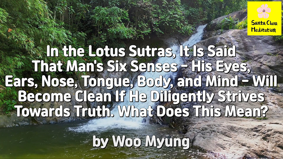 Master Woo Myung – How to Clean Mind – In the Lotus Sutras, It Is Said That Man’s Six Senses – His Eyes, Ears, Nose, Tongue, Body, and Mind – Will Become Clean If He Diligently Strives Towards Truth. What Does This Mean?