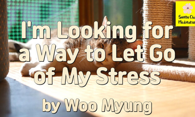 Master Woo Myung – Get Stress Relief – I’m Looking for a Way to Let Go of My Stress