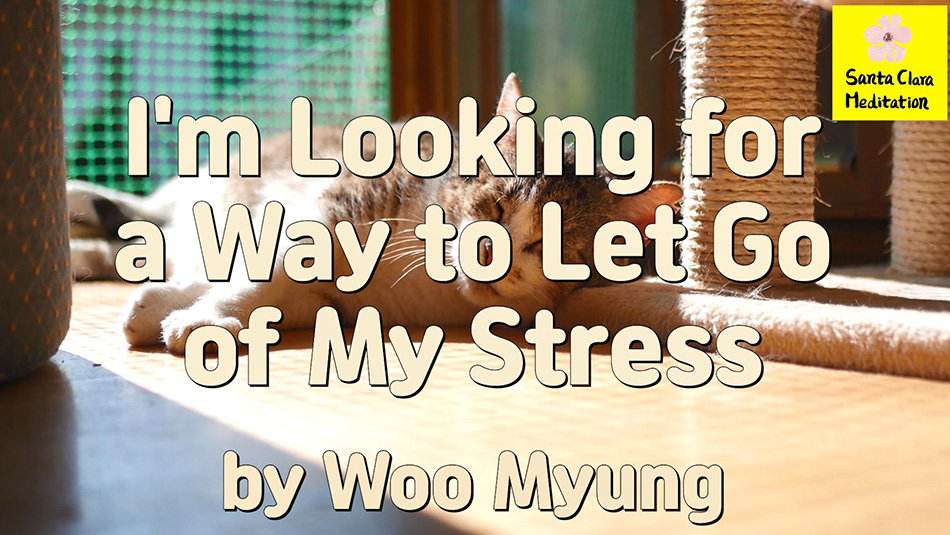 Master Woo Myung – Get Stress Relief – I’m Looking for a Way to Let Go of My Stress