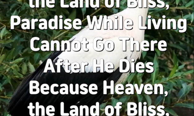 Master Woo Myung – Method to Live The Land of Bliss – One Who Has Not Gone to Heaven, the Land of Bliss, Paradise While Living Cannot Go There After He Dies Because Heaven, the Land of Bliss, Paradise Does Not Exist in His Mind