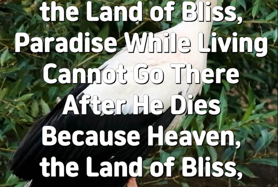 Master Woo Myung – Method to Live The Land of Bliss – One Who Has Not Gone to Heaven, the Land of Bliss, Paradise While Living Cannot Go There After He Dies Because Heaven, the Land of Bliss, Paradise Does Not Exist in His Mind