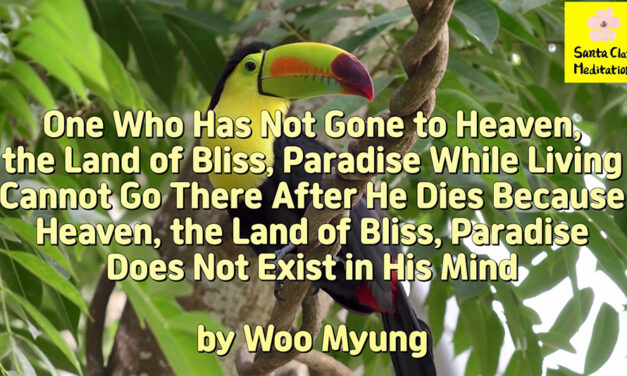 Master Woo Myung – How to Live in Heaven – One Who Has Not Gone to Heaven, the Land of Bliss, Paradise While Living Cannot Go There After He Dies Because Heaven, the Land of Bliss, Paradise Does Not Exist in His Mind