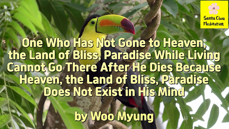 Master Woo Myung – How to Live in Heaven – One Who Has Not Gone to Heaven, the Land of Bliss, Paradise While Living Cannot Go There After He Dies Because Heaven, the Land of Bliss, Paradise Does Not Exist in His Mind