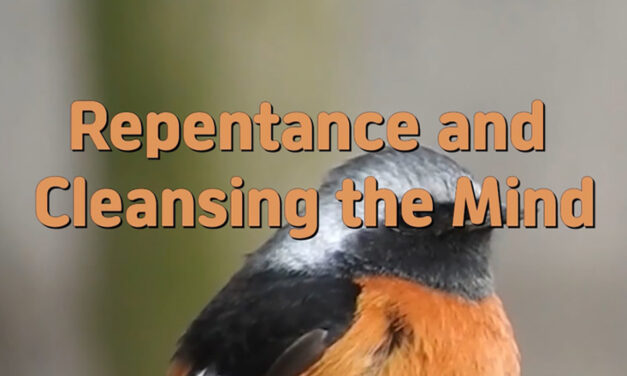 Master Woo Myung – How to Repent – Repentance and Cleansing the Mind