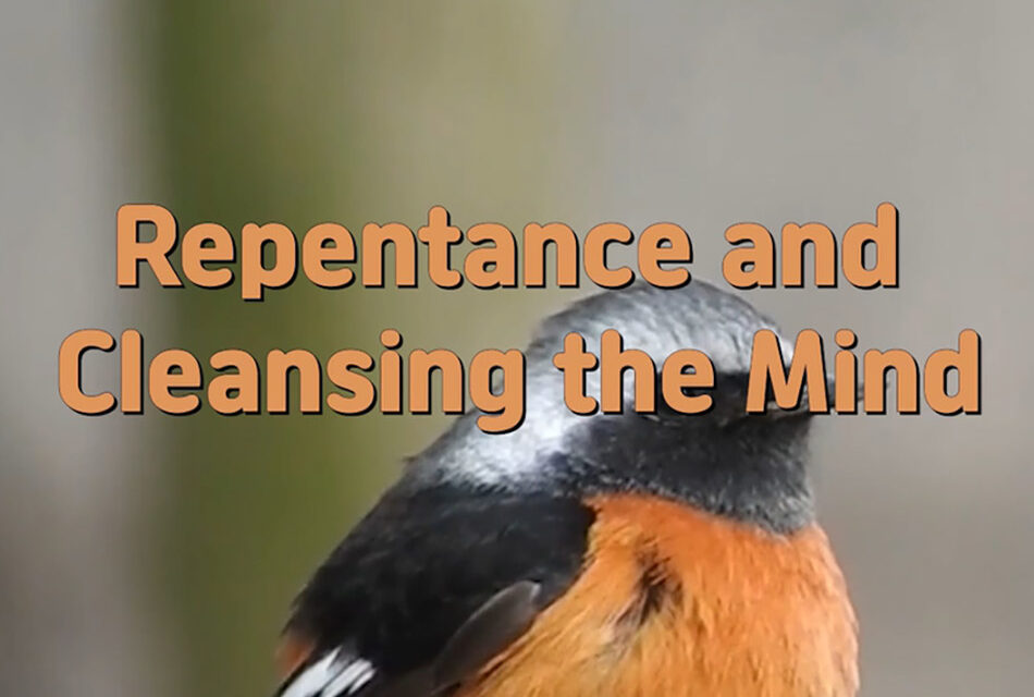 Master Woo Myung – How to Repent – Repentance and Cleansing the Mind