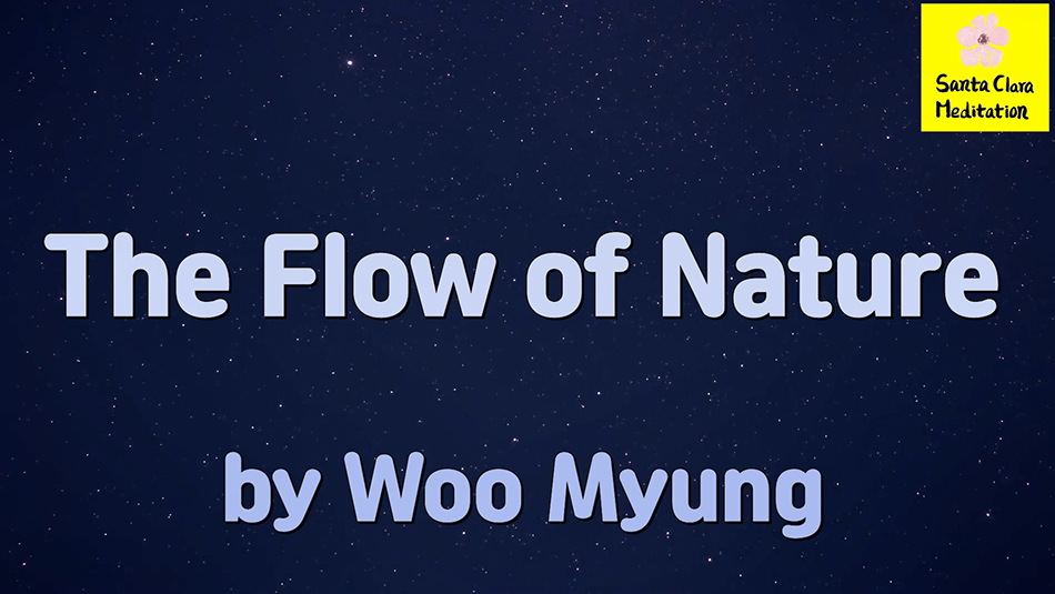 Master Woo Myung – Wisdom Verses – The Flow of Nature