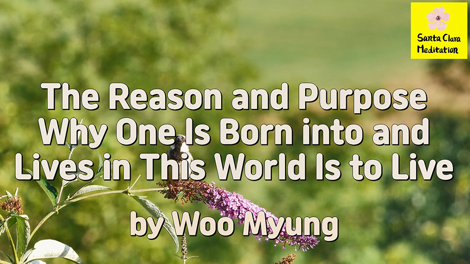 Master Woo Myung – Meaning of Life – The Reason and Purpose Why One Is Born into and Lives in This World Is to Live