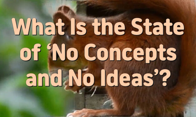 Master Woo Myung – Wisdom’s Answer – What Is the State of ‘No Concepts and No Ideas’?