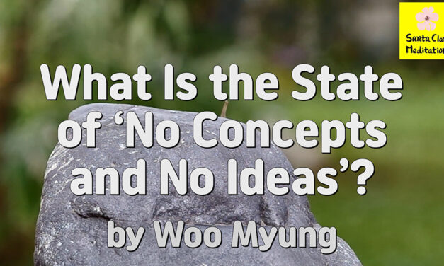 Master Woo Myung – Words of Wisdom – What Is the State of ‘No Concepts and No Ideas’?