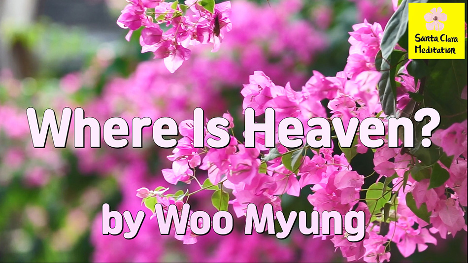 Master Woo Myung – Teachings to Awaken – Where Is Heaven?