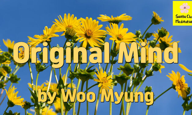 Master Woo Myung – Meditation Quote – Original Mind