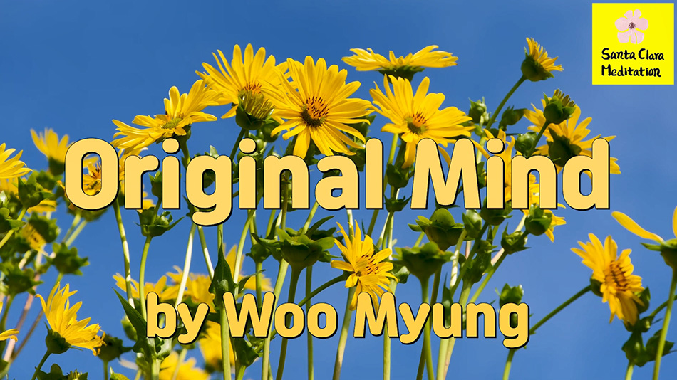 Master Woo Myung – Meditation Quote – Original Mind