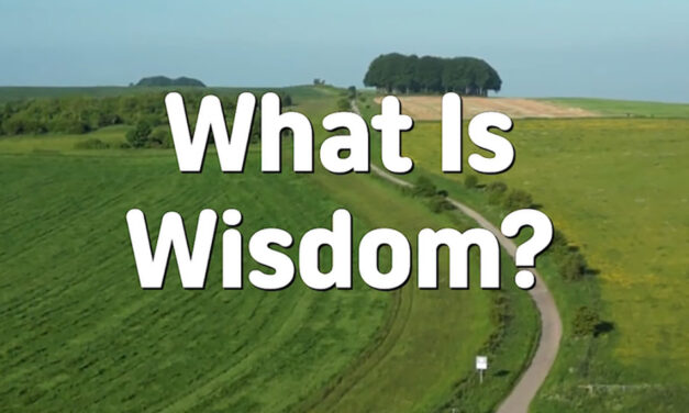 Master Woo Myung – How to Be Smart – What Is Wisdom?